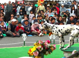 わんわんドリームショー